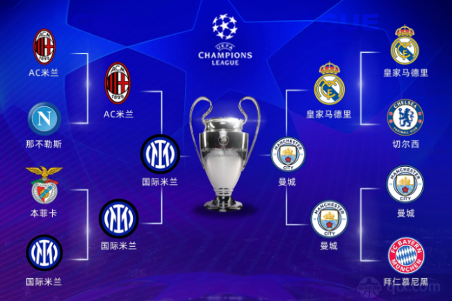 固液混合铝电解电容器